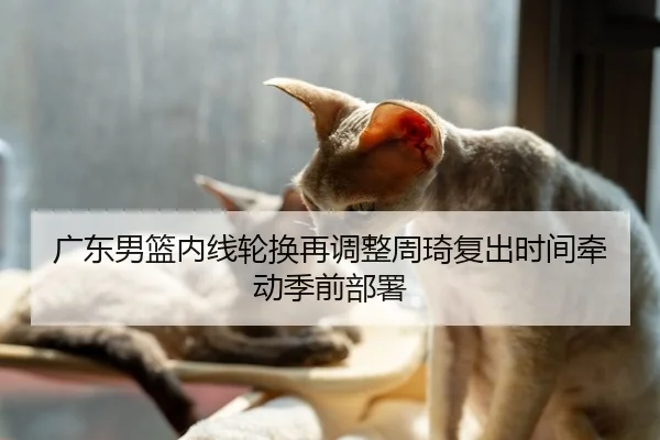 广东男篮内线轮换再调整周琦复出时间牵动季前部署